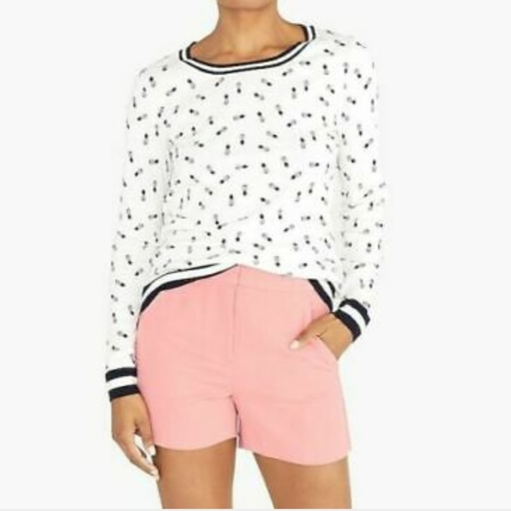 JCREW Pineapples Blue White Top Light Sweater
